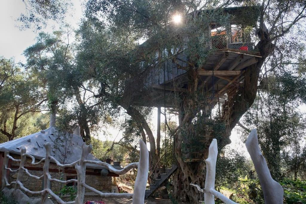 Margaritis'S Treehouse Villa Paramonas  Luaran gambar