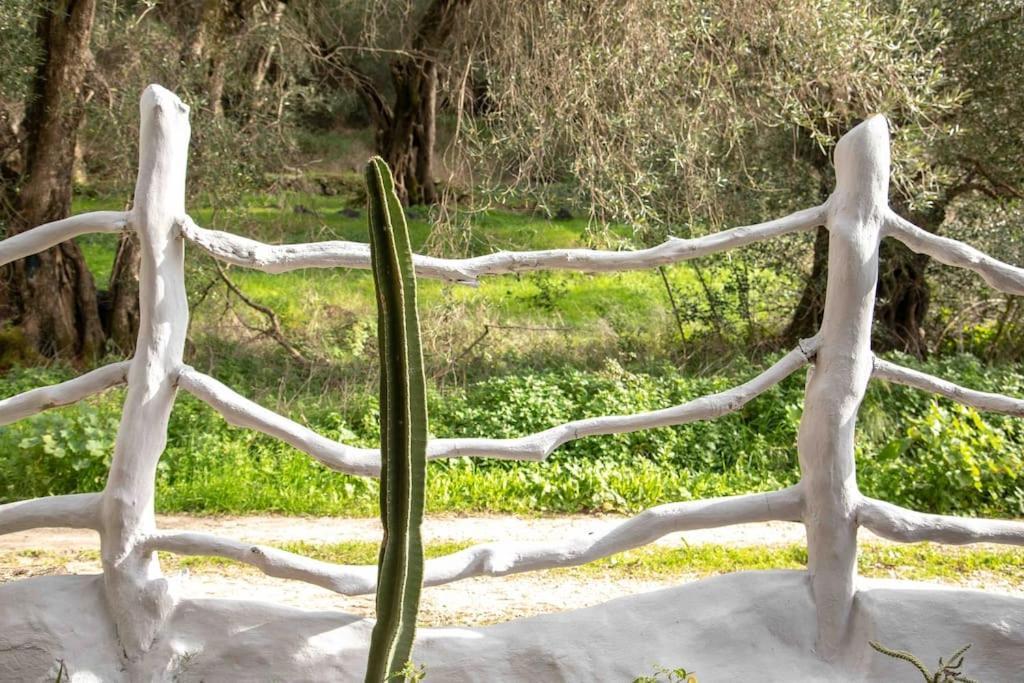 Margaritis'S Treehouse Villa Paramonas  Luaran gambar