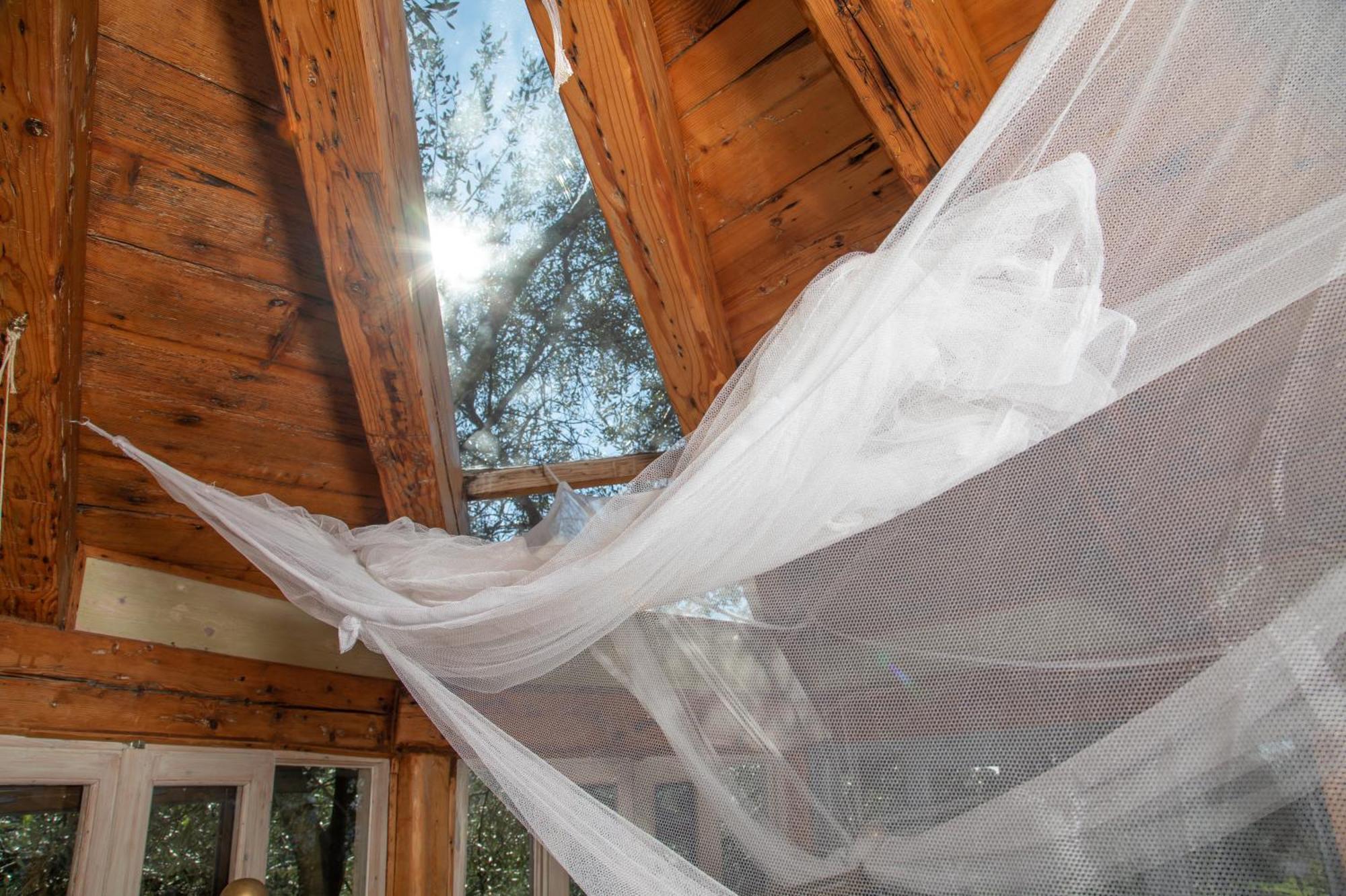 Margaritis'S Treehouse Villa Paramonas  Luaran gambar